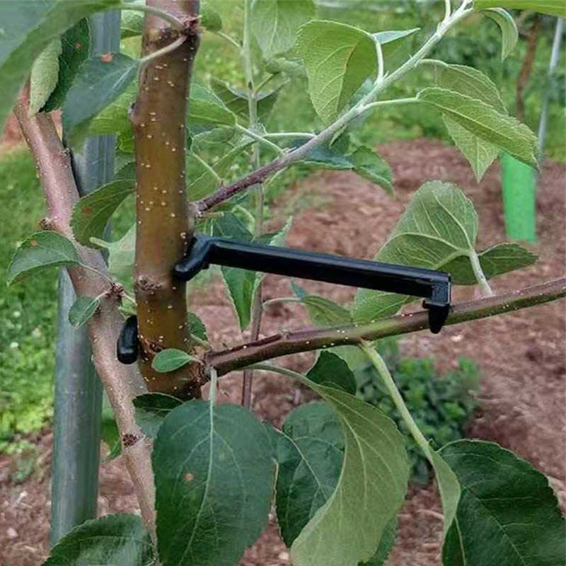 Fruit Tree Branch Puller Plant - Fruit Roll Up review and price