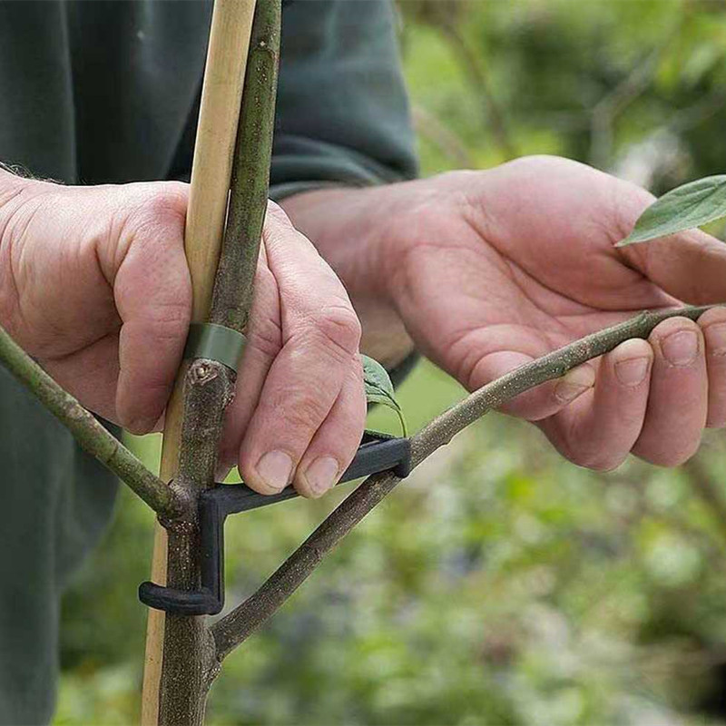 Fruit Tree Branch Puller Plant - Fruit Roll Up review and price