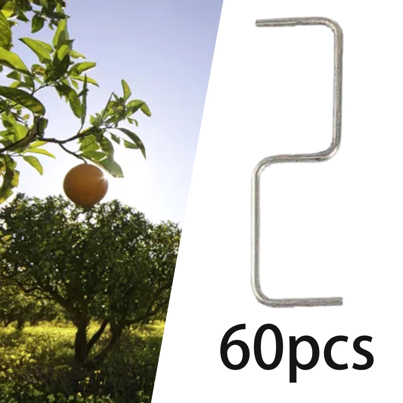 60 Pieces Fruit Tree Branch Pu - Fruit Roll Up review and price